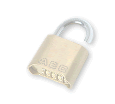 AEC SECURITY AND FIREWALLS